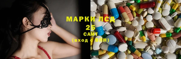 сатива Заволжье