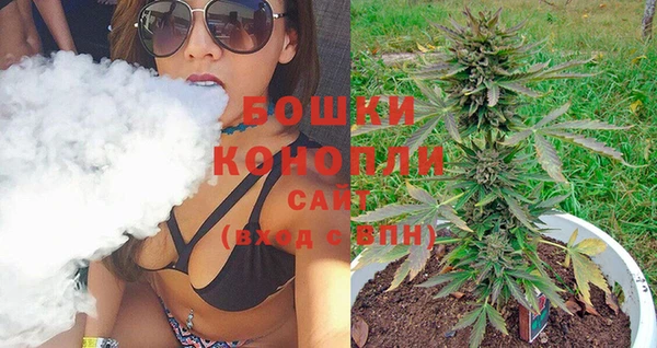 сатива Заволжье