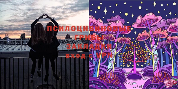 марки nbome Заводоуковск