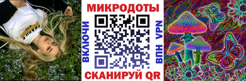Купить  Бор  Галлюциногенные грибы мухоморы 